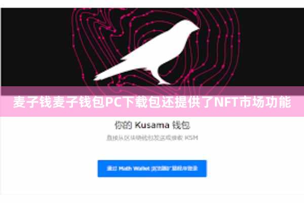 麦子钱麦子钱包PC下载包还提供了NFT市场功能