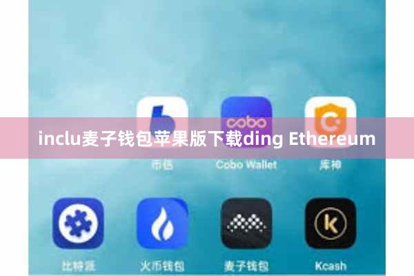 inclu麦子钱包苹果版下载ding Ethereum
