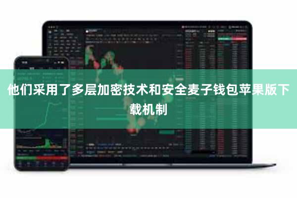 他们采用了多层加密技术和安全麦子钱包苹果版下载机制
