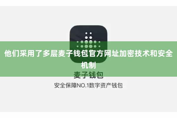 他们采用了多层麦子钱包官方网址加密技术和安全机制